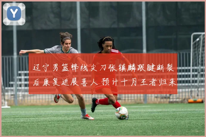 辽宁男篮锋线尖刀张镇麟跟腱断裂后康复进展喜人 预计十月王者归来