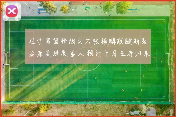 辽宁男篮锋线尖刀张镇麟跟腱断裂后康复进展喜人 预计十月王者归来